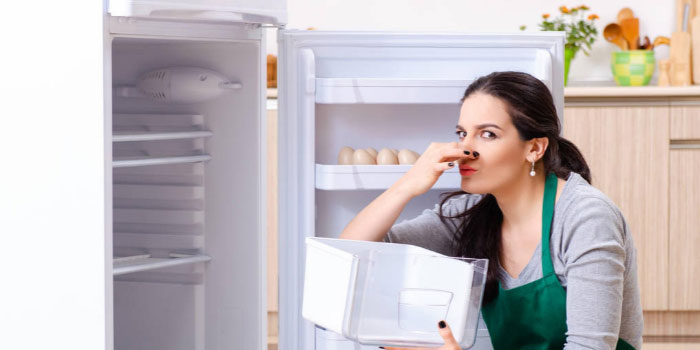 fridge-organizers