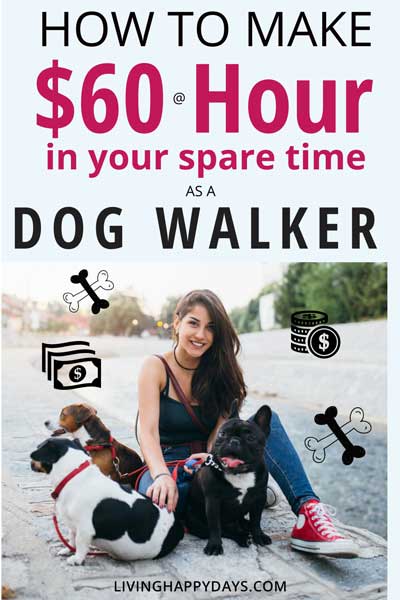 How to Become a Dog Walker